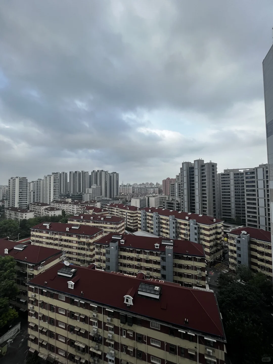 🌿杨浦内环捡漏！恒阳花苑05年次新电梯房