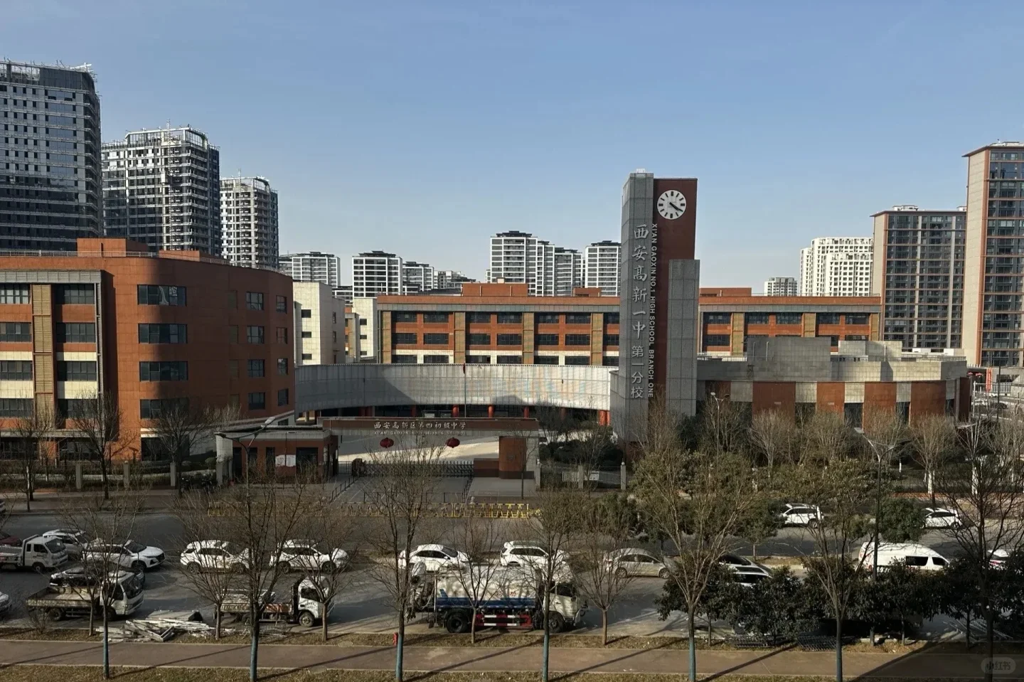 需要的看过来