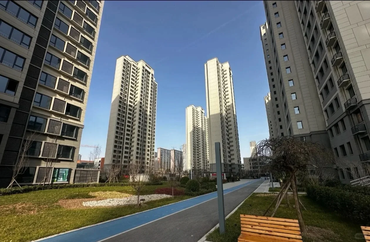需要的看过来