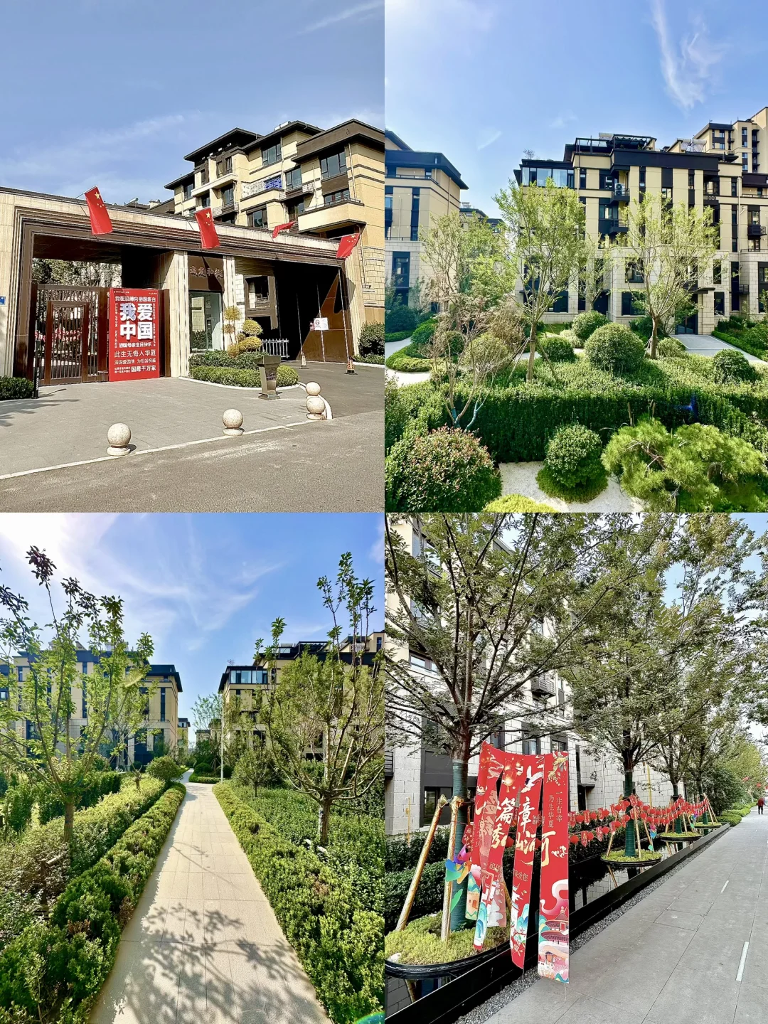 ‼️淄博孝妇河畔拥有一方小院，把生活过成诗。