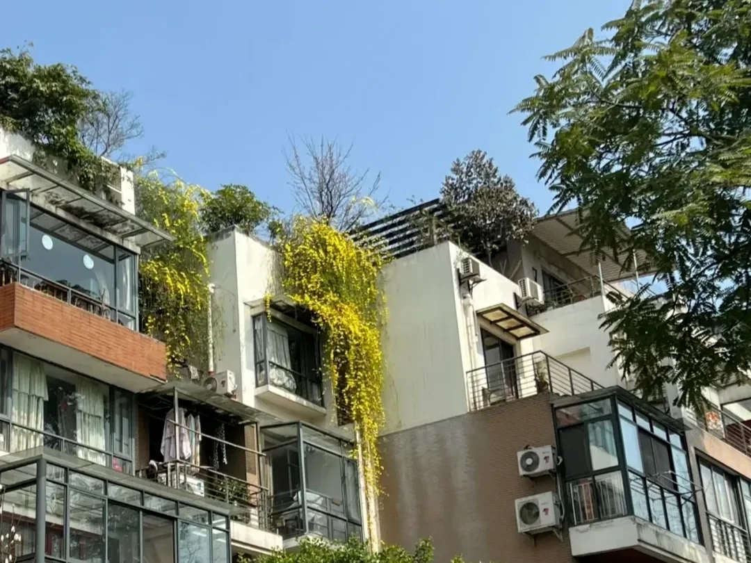 二手房的“坑”有多深？