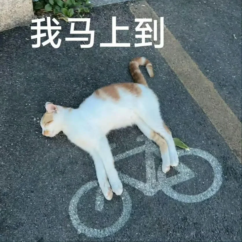 山西汽车置换补贴倒计时！速来办理过户上户
