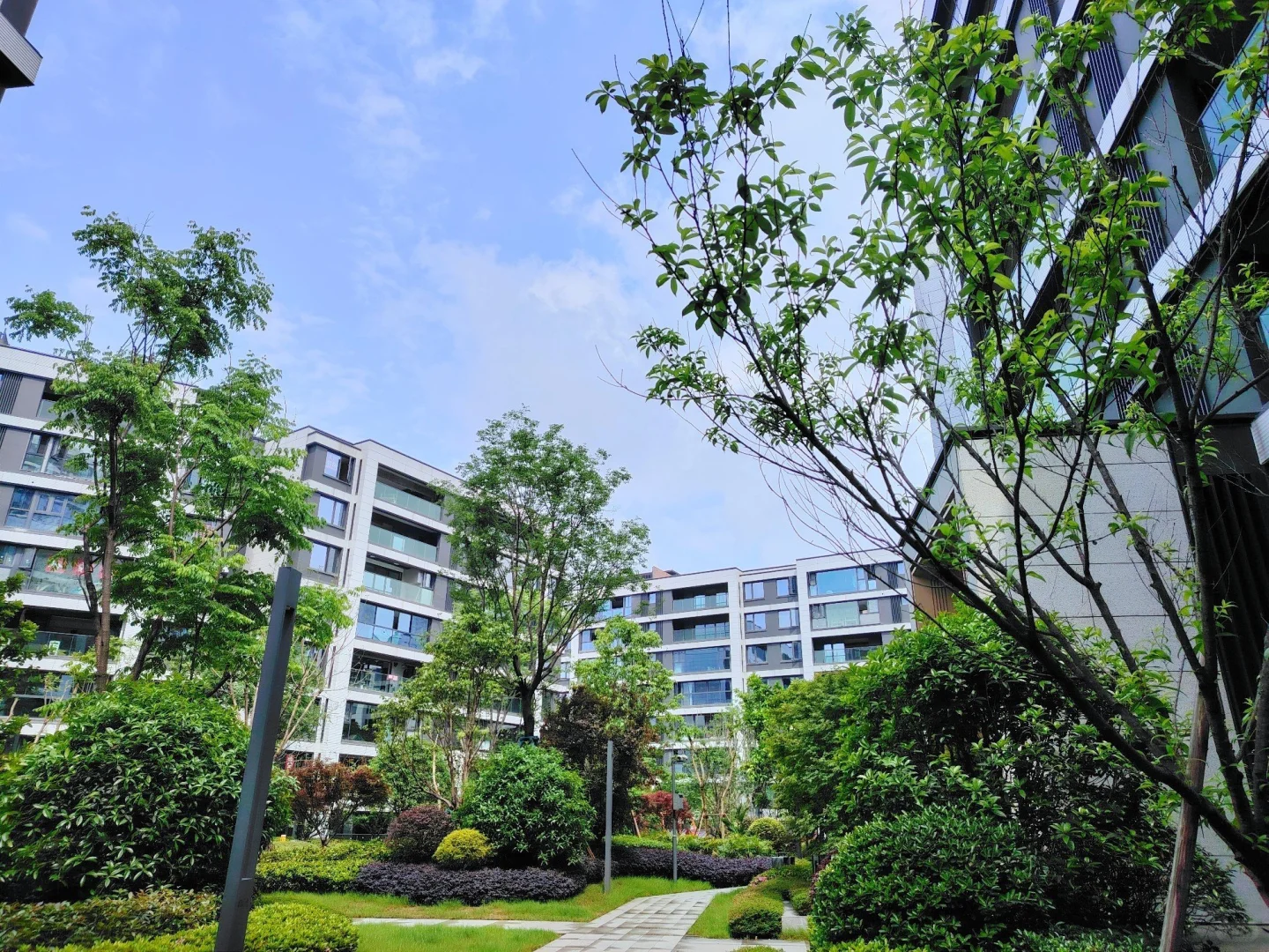 🔥国庆必看品质现房｜内环洋楼实景呈现