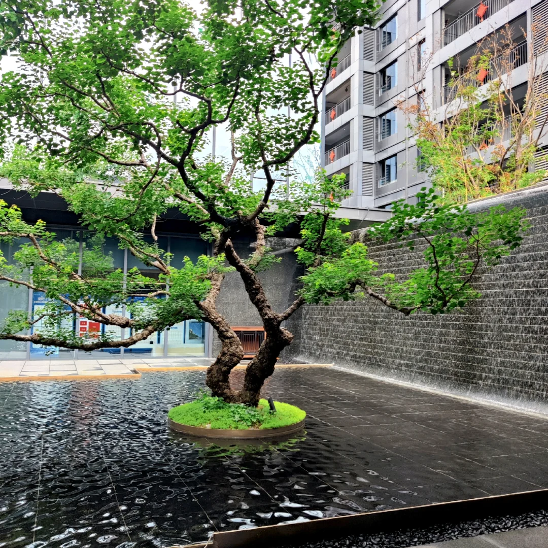 看房日记第三站～建控江山赋