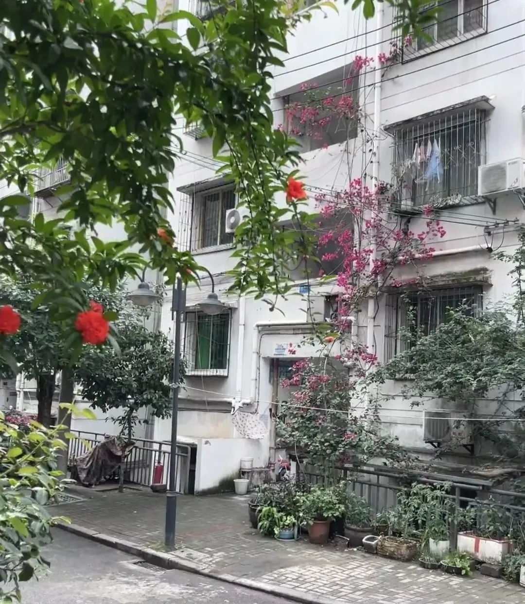 二手房的“坑”有多深？