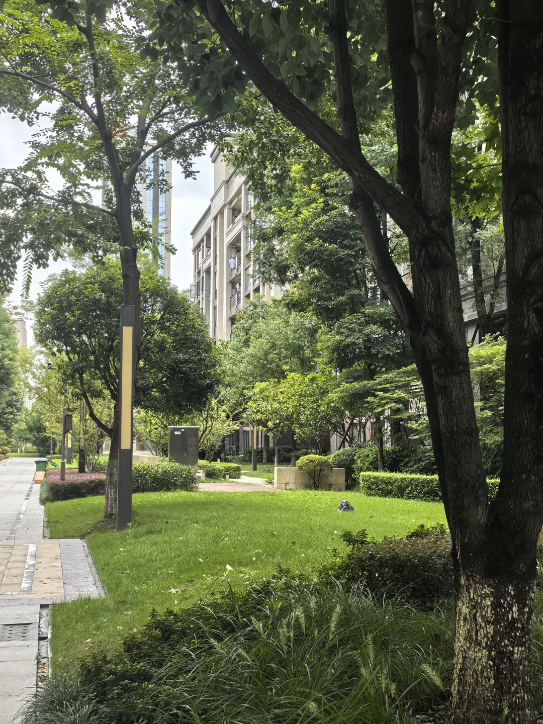 成都成华三环内20年次新|两梯三户|前后中庭