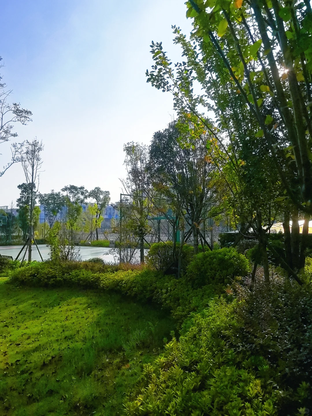 地铁口|五字头封顶|现房|南北通透双阳台