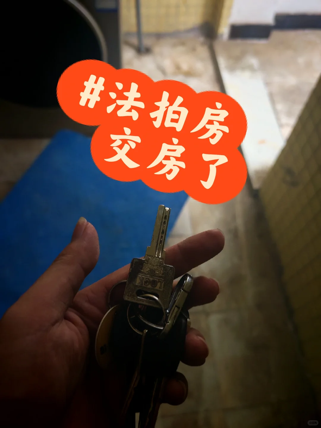 #法拍交房了