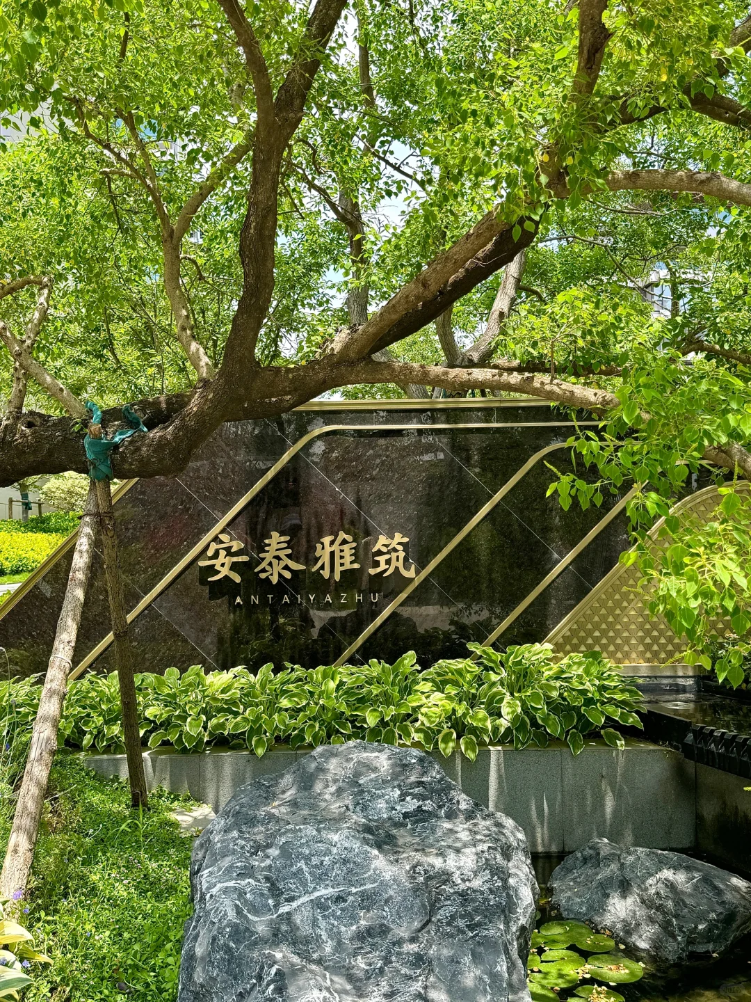 日照这个小区的环境也太好了吧！好心动💓