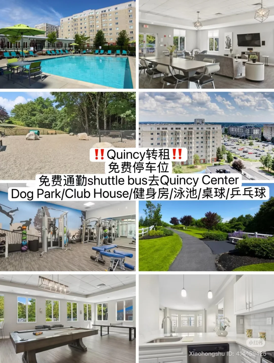 Quincy高级公寓1b1b转租