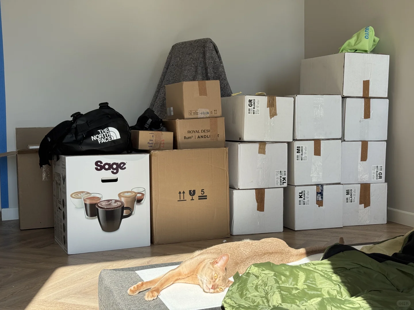 新家plog🇳🇱|慢慢慢慢地安家中…