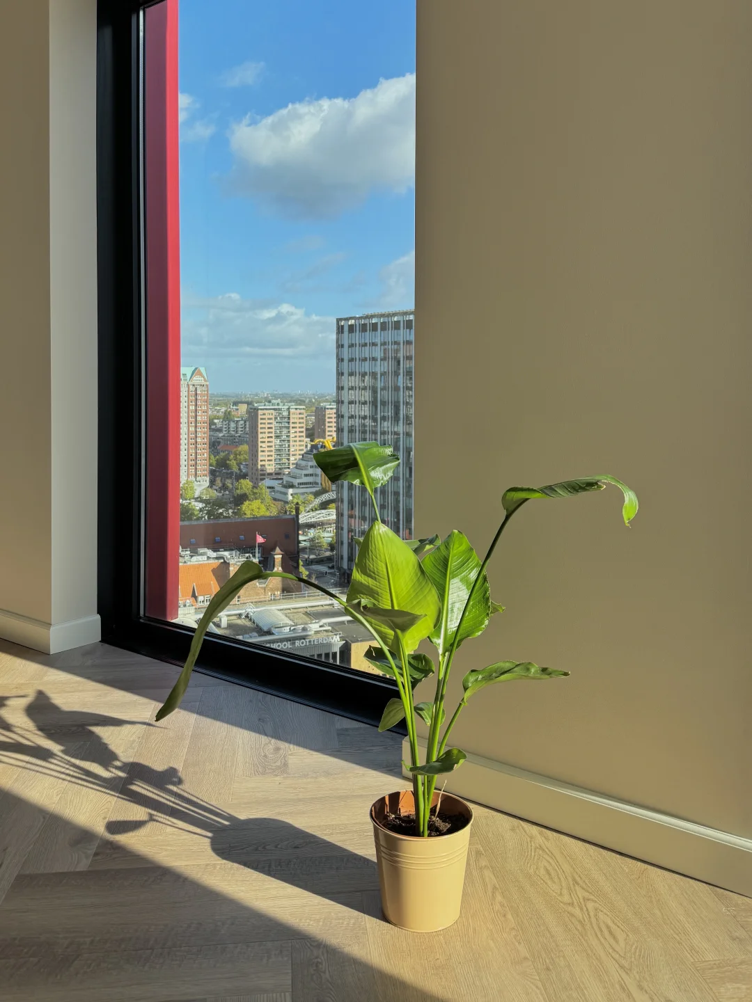 新家plog🇳🇱|慢慢慢慢地安家中…