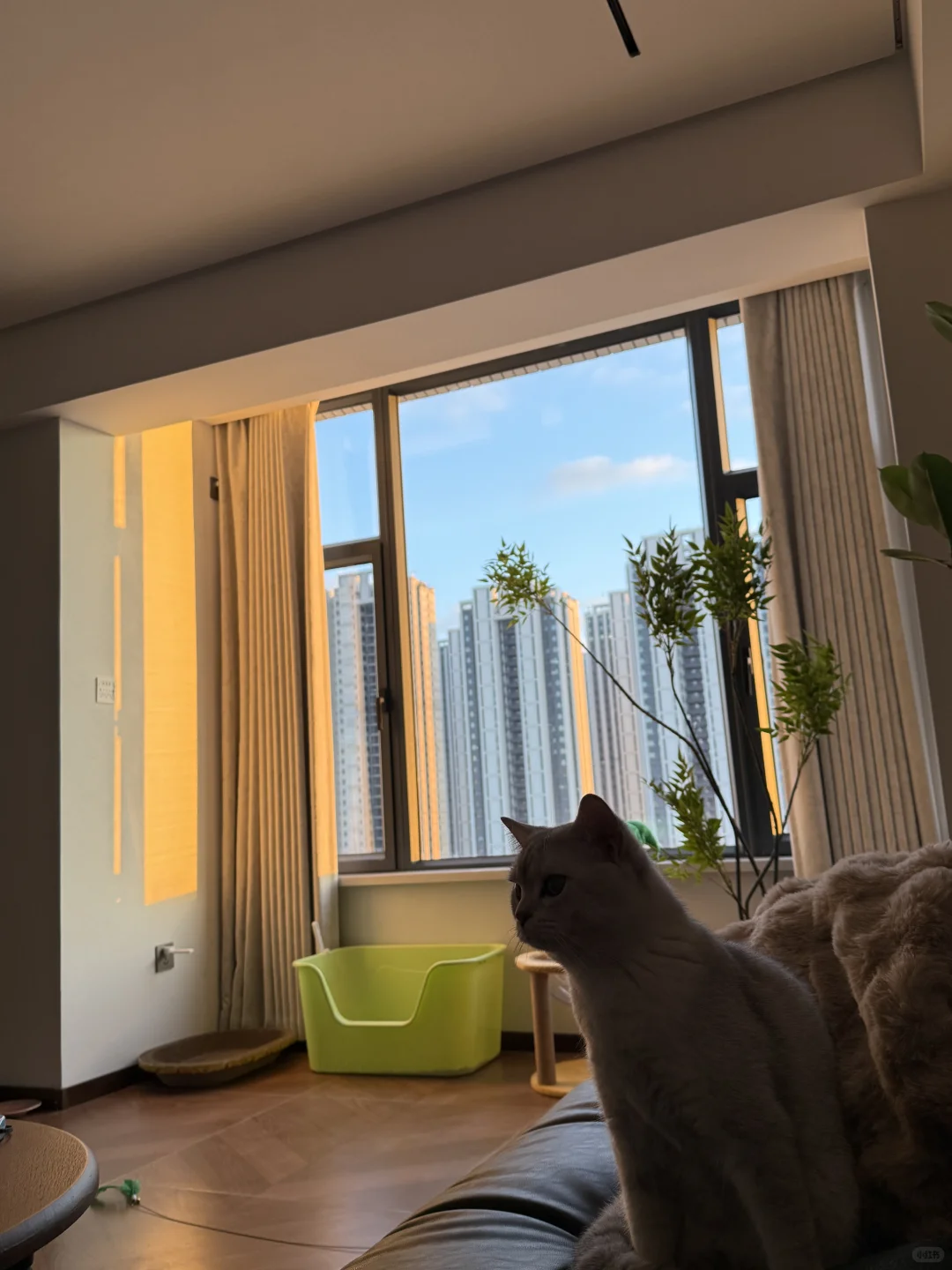 24岁首付7万，靠自己的努力在乌市买的小家🏠