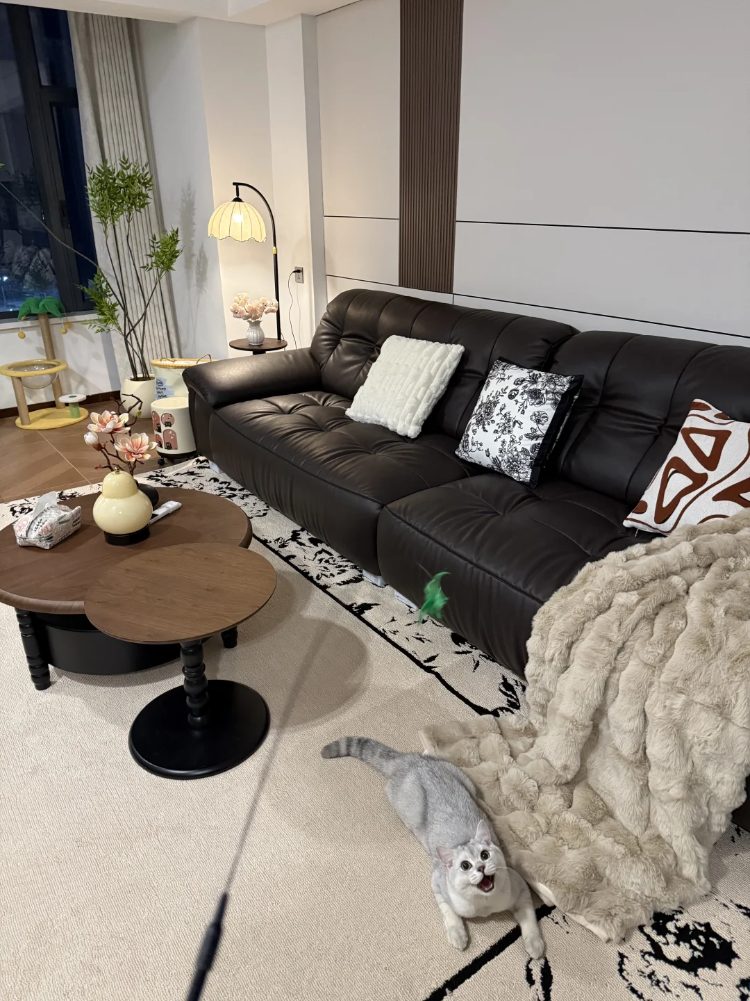 24岁首付7万，靠自己的努力在乌市买的小家🏠