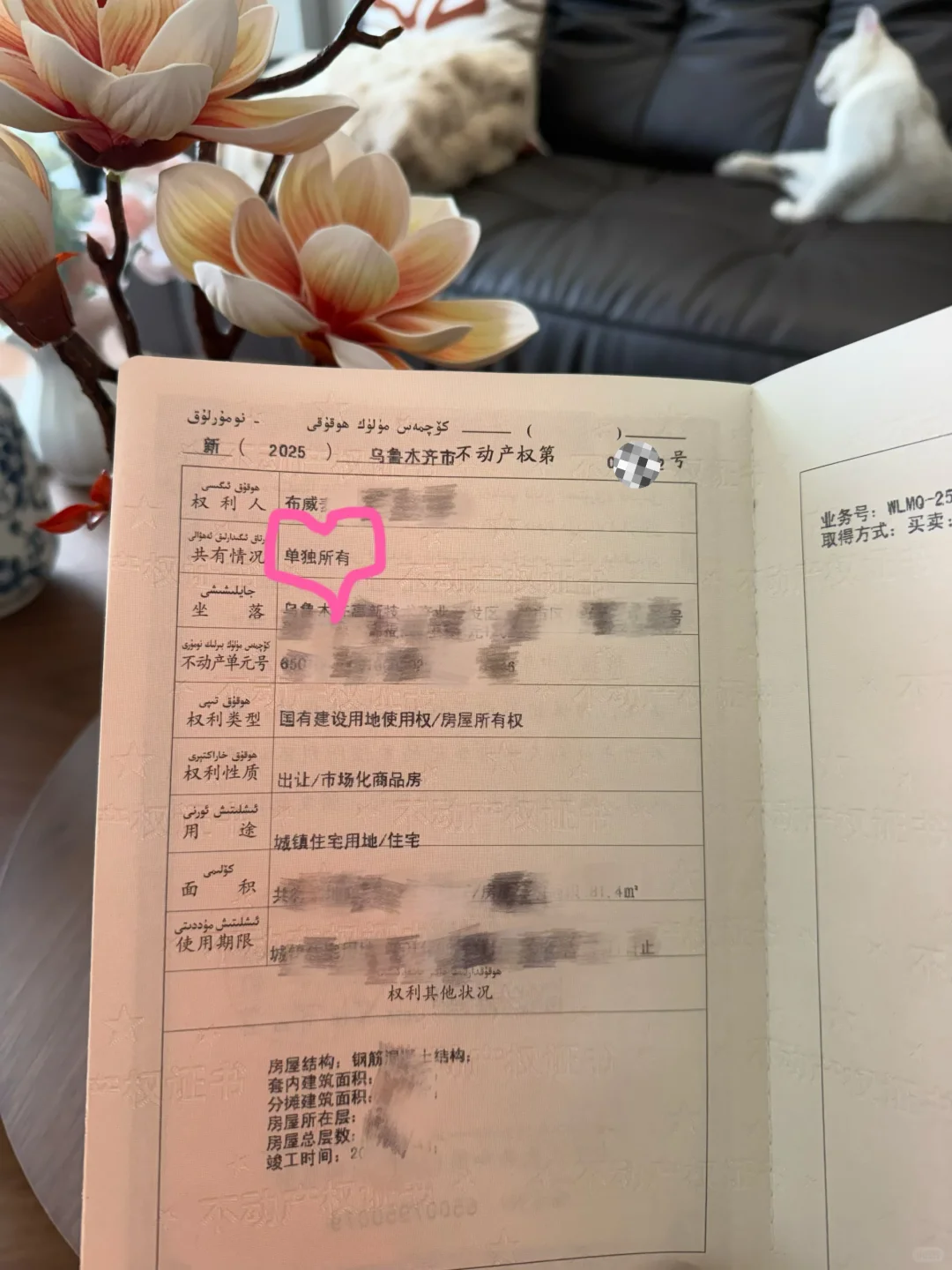 24岁首付7万，靠自己的努力在乌市买的小家🏠