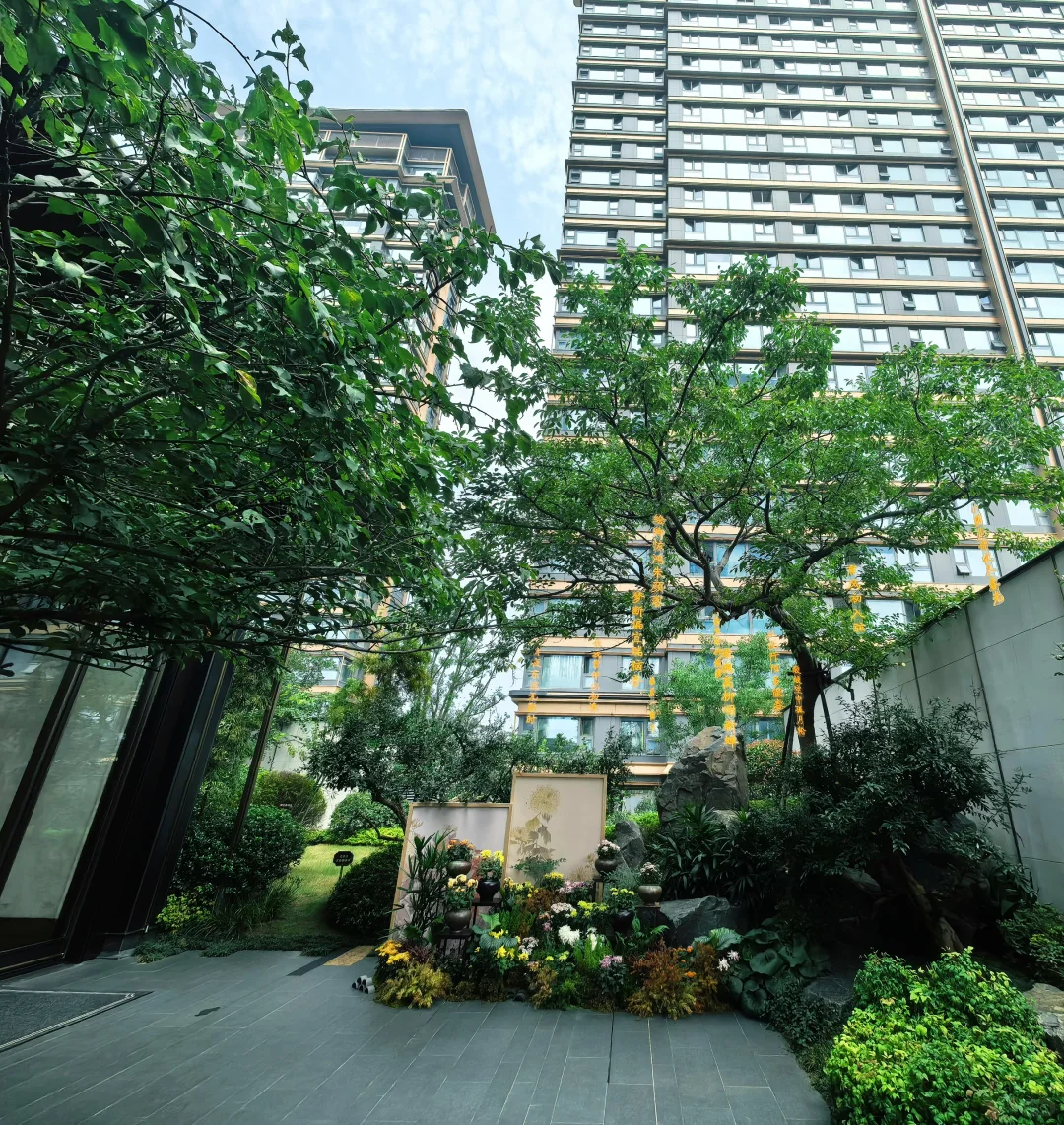 雨核建发璞云准现房清盘，今年买春节就能住