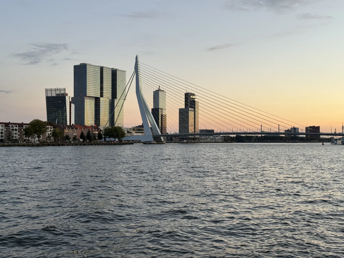 新家plog🇳🇱|慢慢慢慢地安家中…