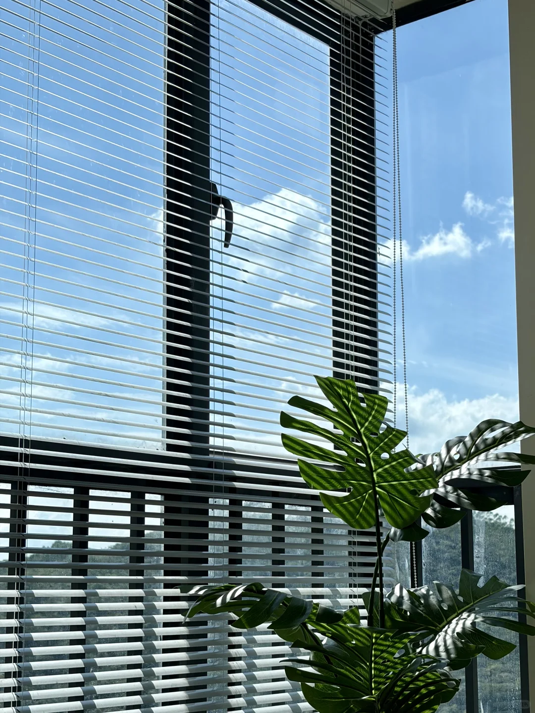 最大的骗局之女生一定要有一套自己的房子