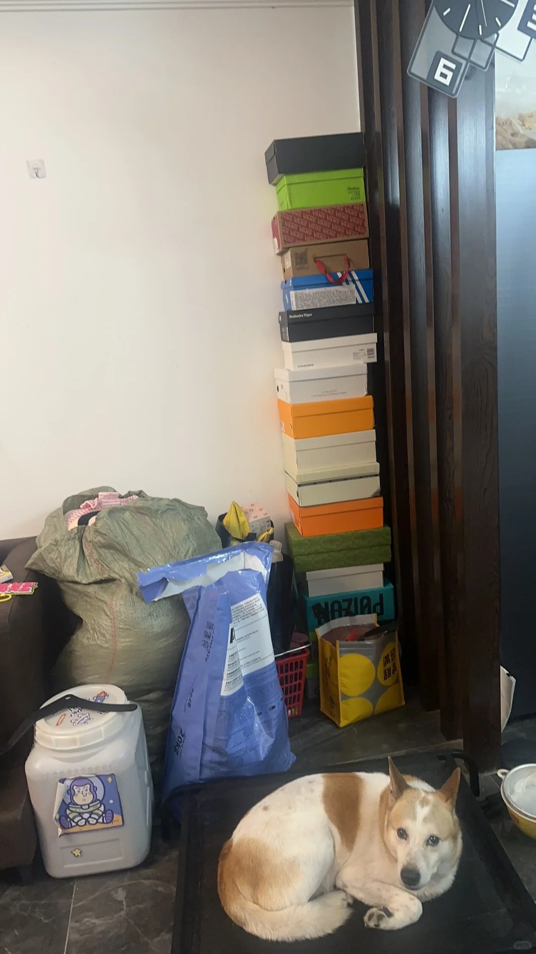 租的房被查封，一个搬家小女孩碎了