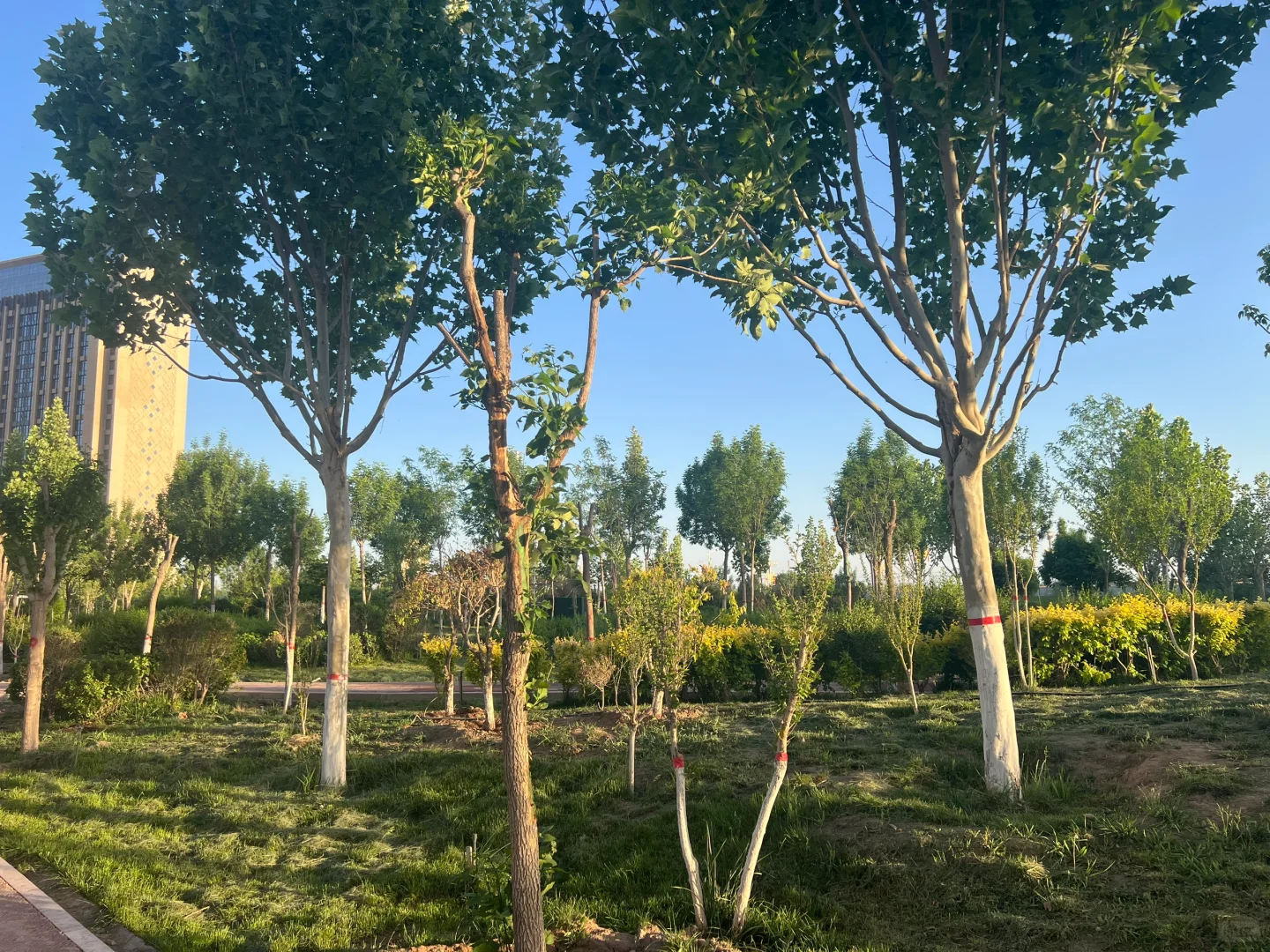 想在新疆旅居一年，住在哪个城市好