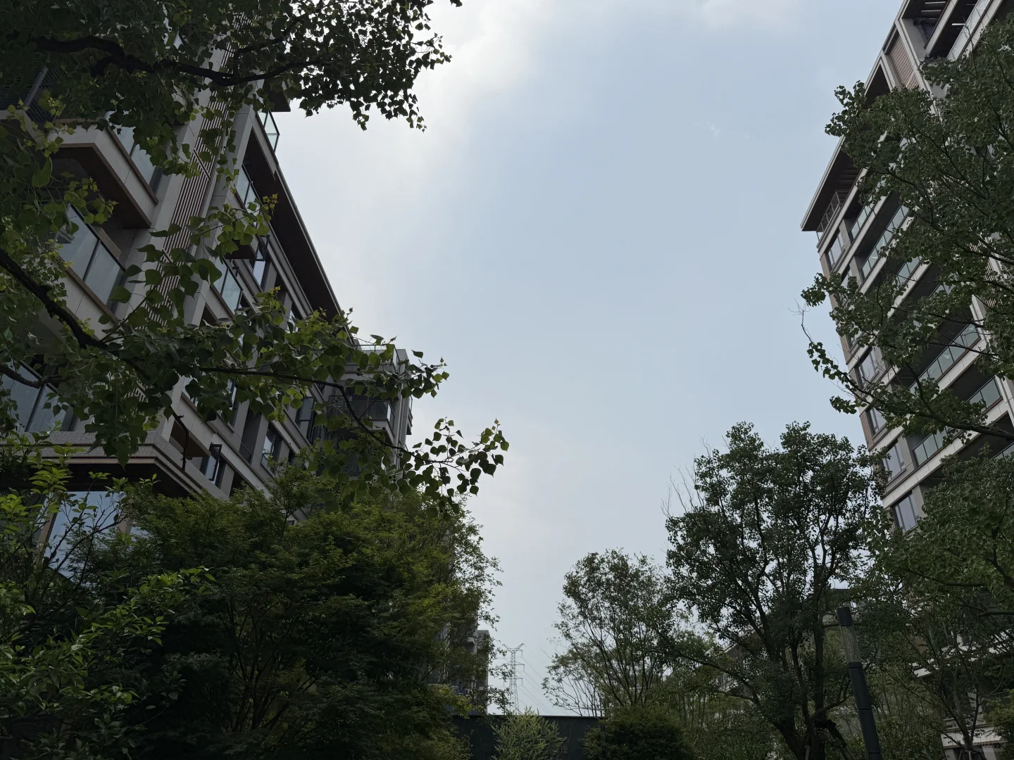 你们见过有这种户型的小区😅