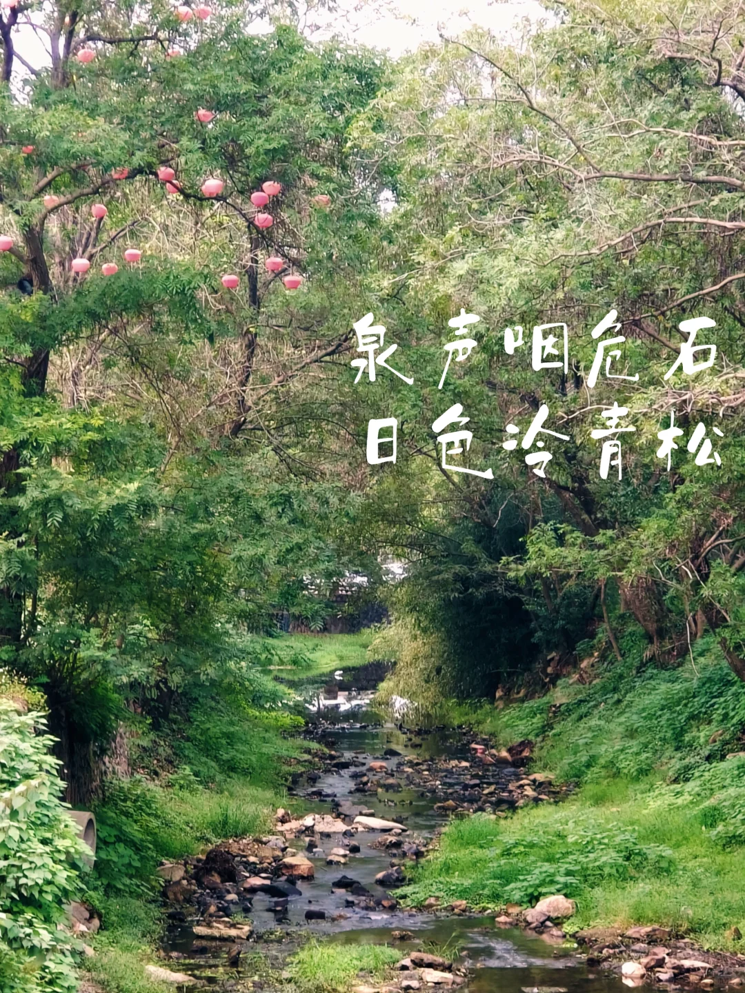 🍁在安徽的村子里，我治好了精神内耗。