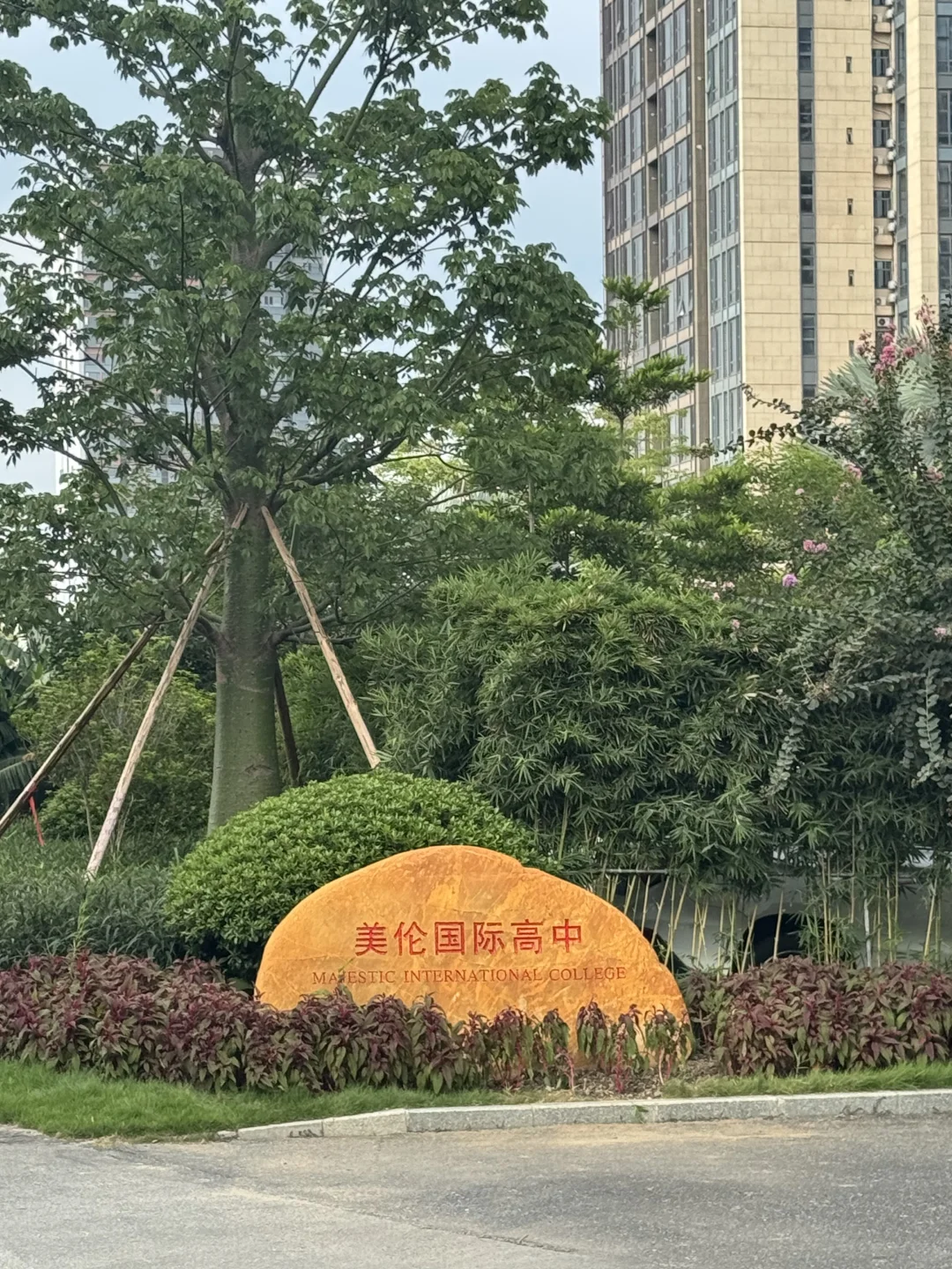 佛山扛不住了！50万买到了dream house🌈