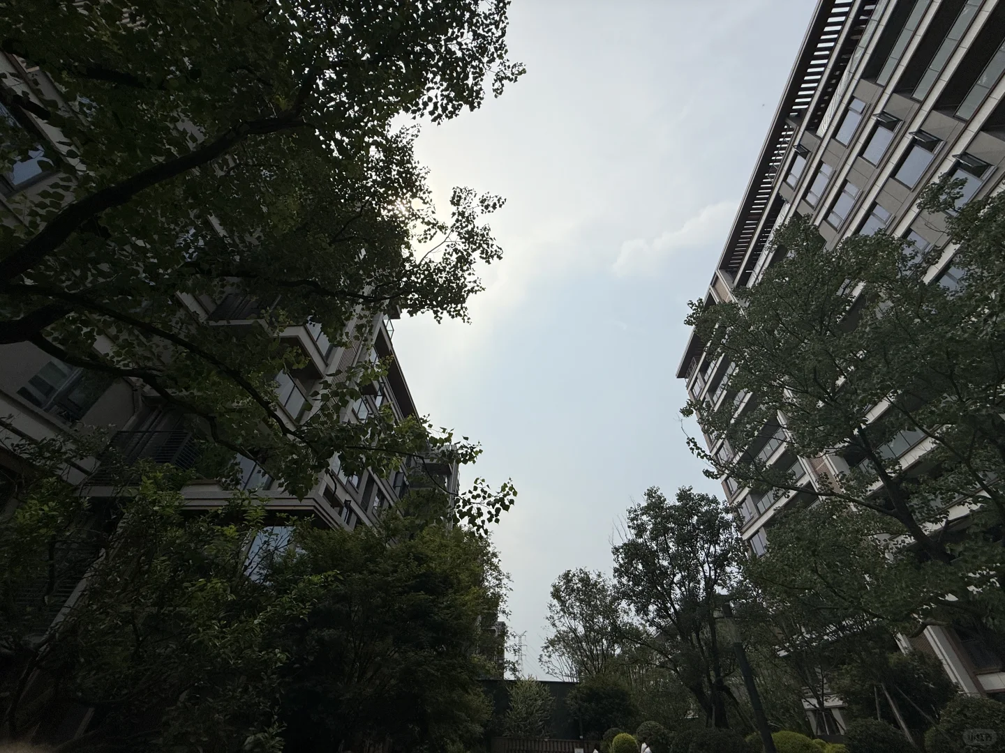 你们见过有这种户型的小区😅