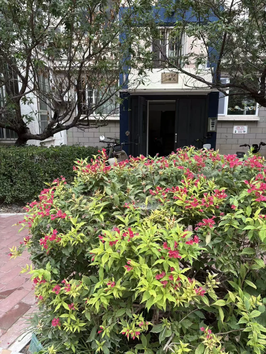 十一探房-聚焦回龙观周边小区