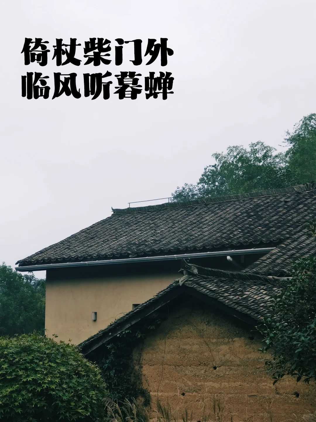 🍁在安徽的村子里，我治好了精神内耗。
