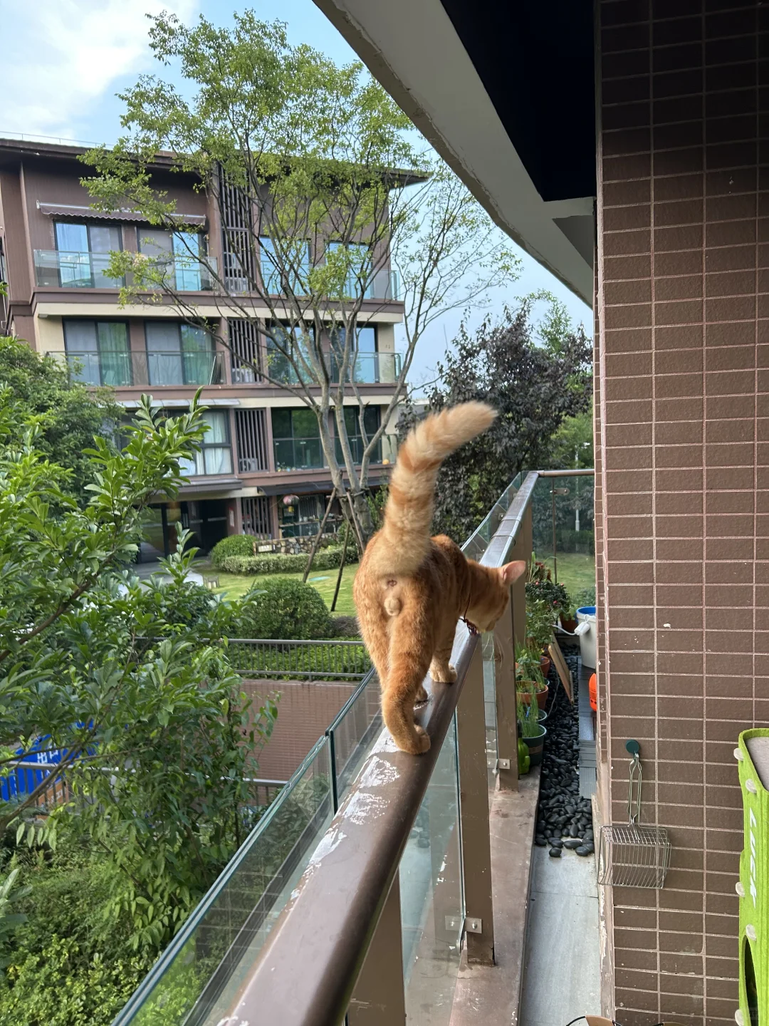 在青城山买度假房3个月，真实体验太香了！