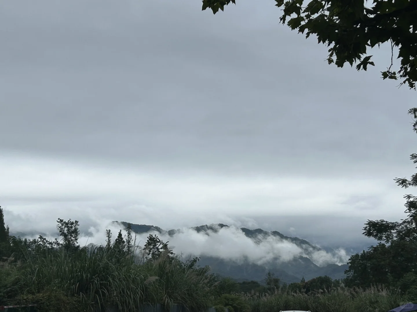 在青城山买度假房3个月，真实体验太香了！