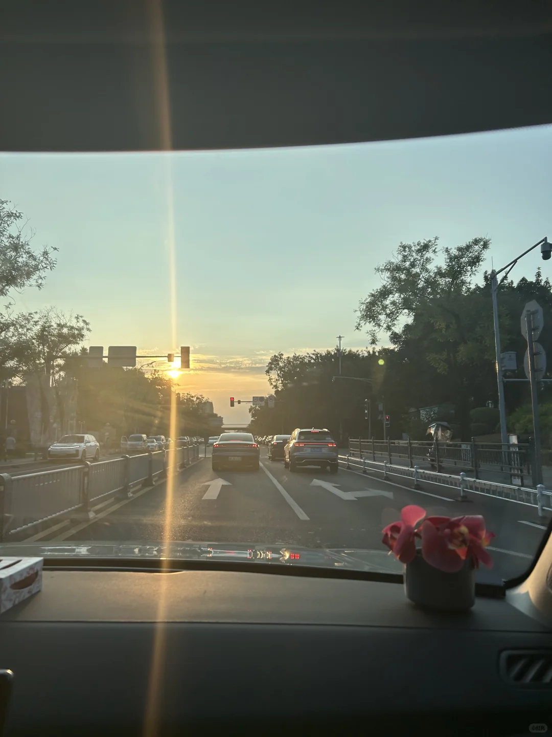 在青城山买度假房3个月，真实体验太香了！