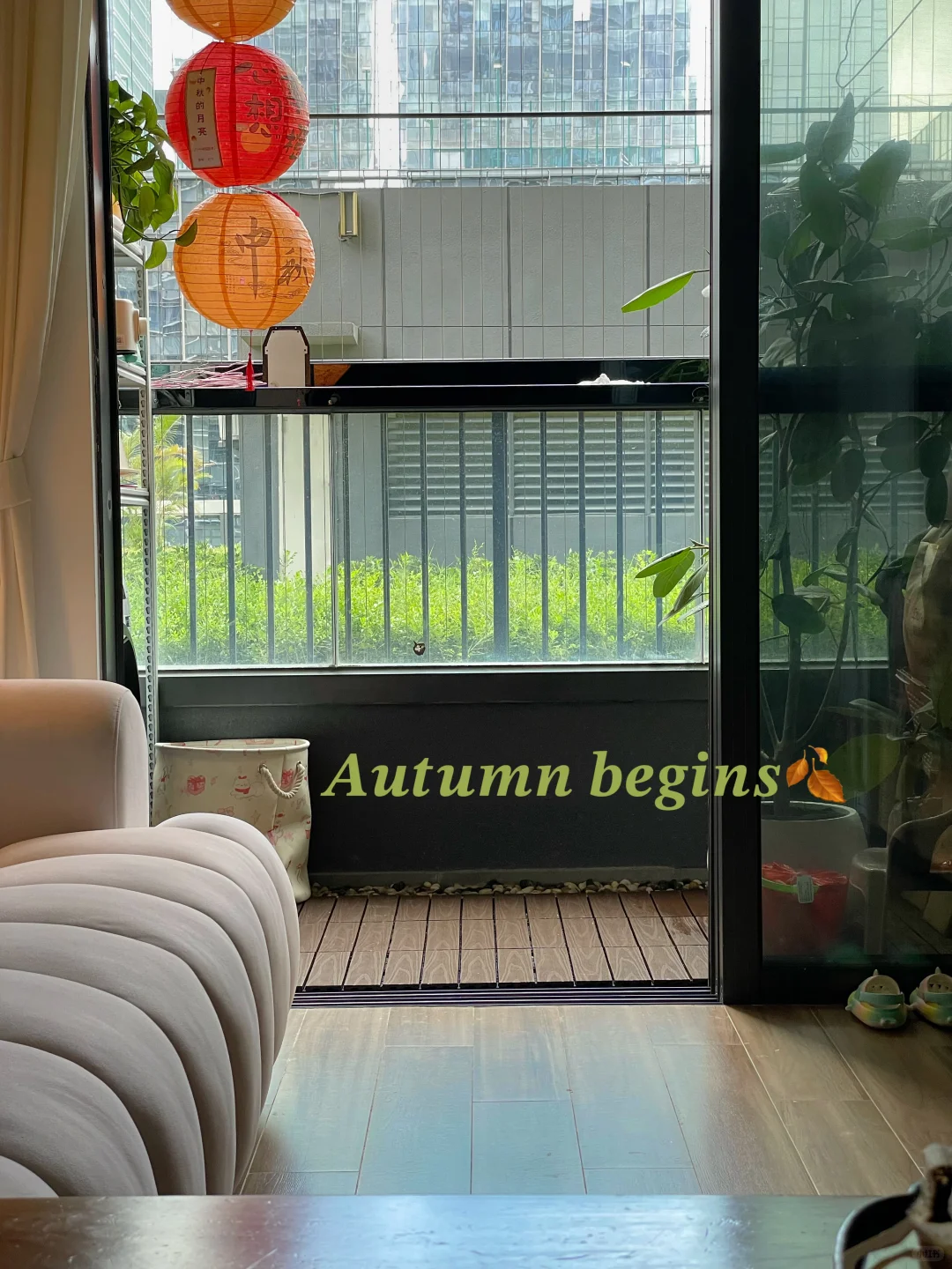🏠深圳最早申请保租房的人后来怎么样了❓