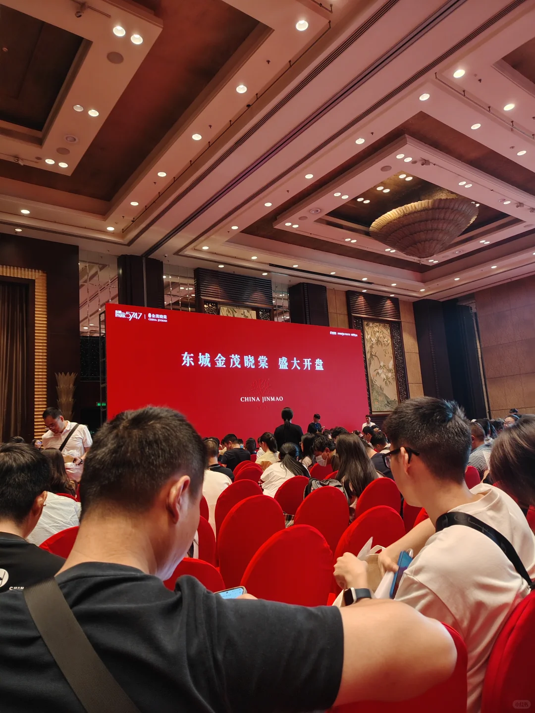 金茂晓棠摇号开始了，快到我的碗里来