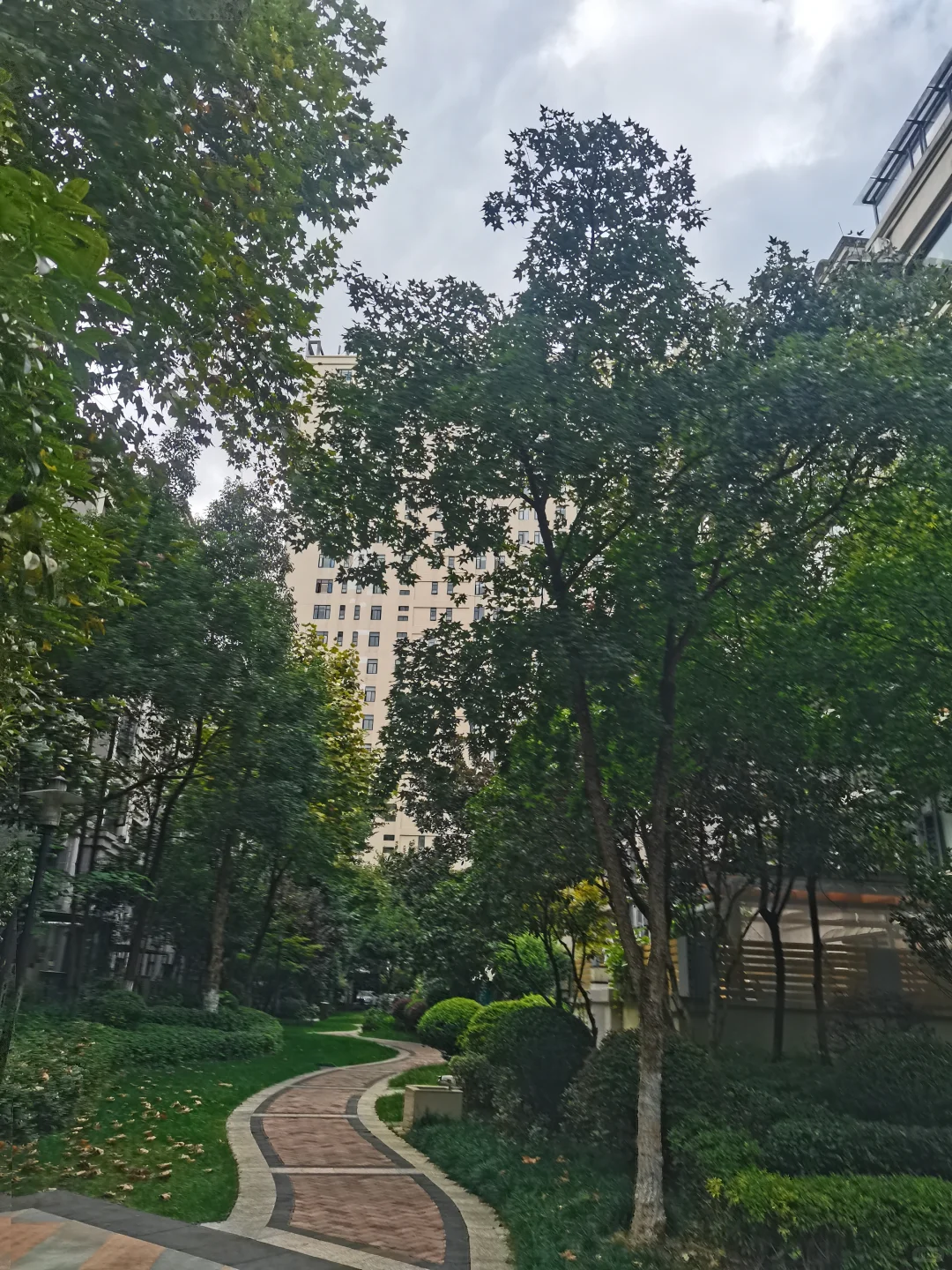 别人家小区系列：住这个小区也太幸福了吧！