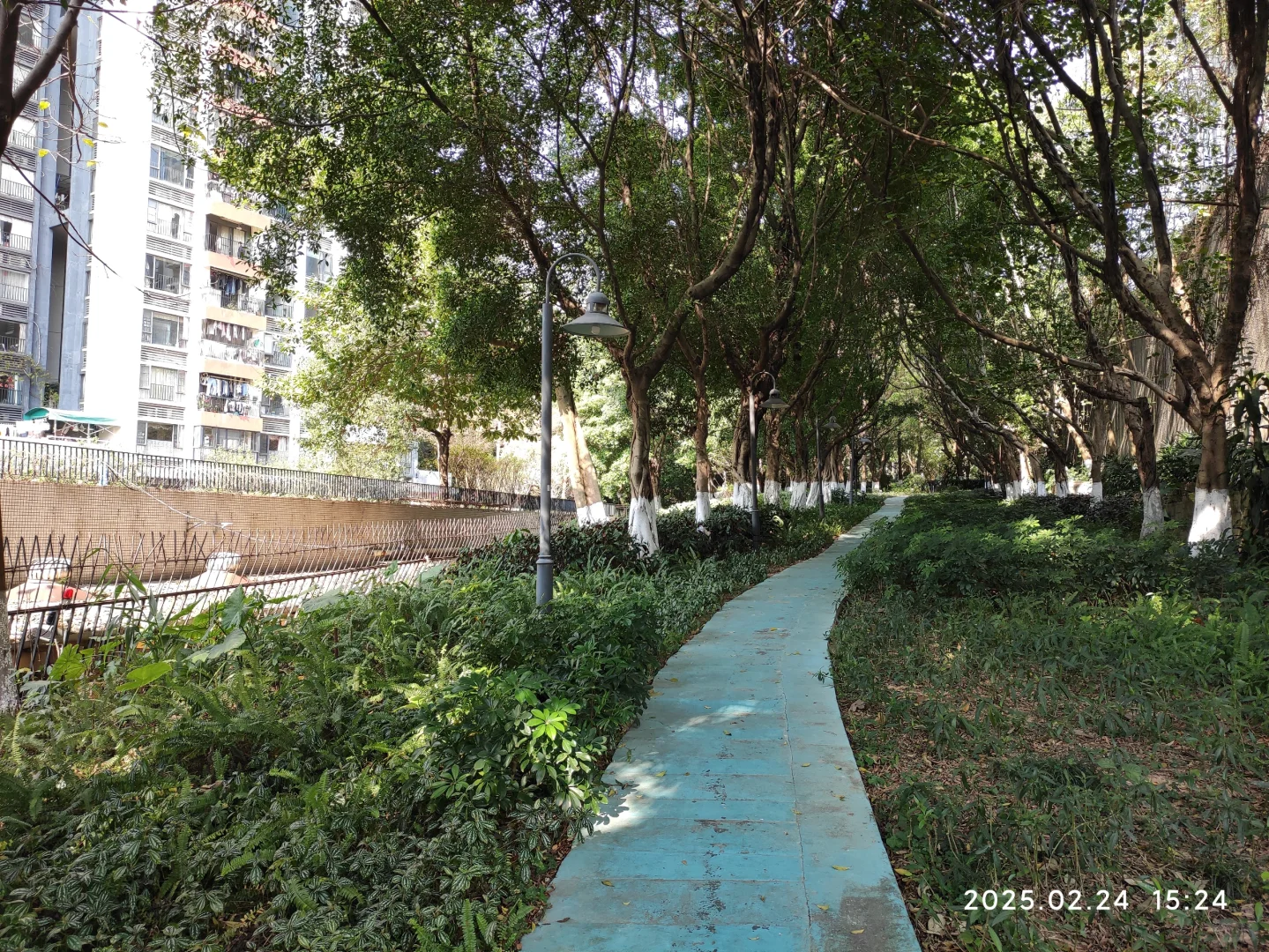 广州第一批限价房小区已经绿树成荫