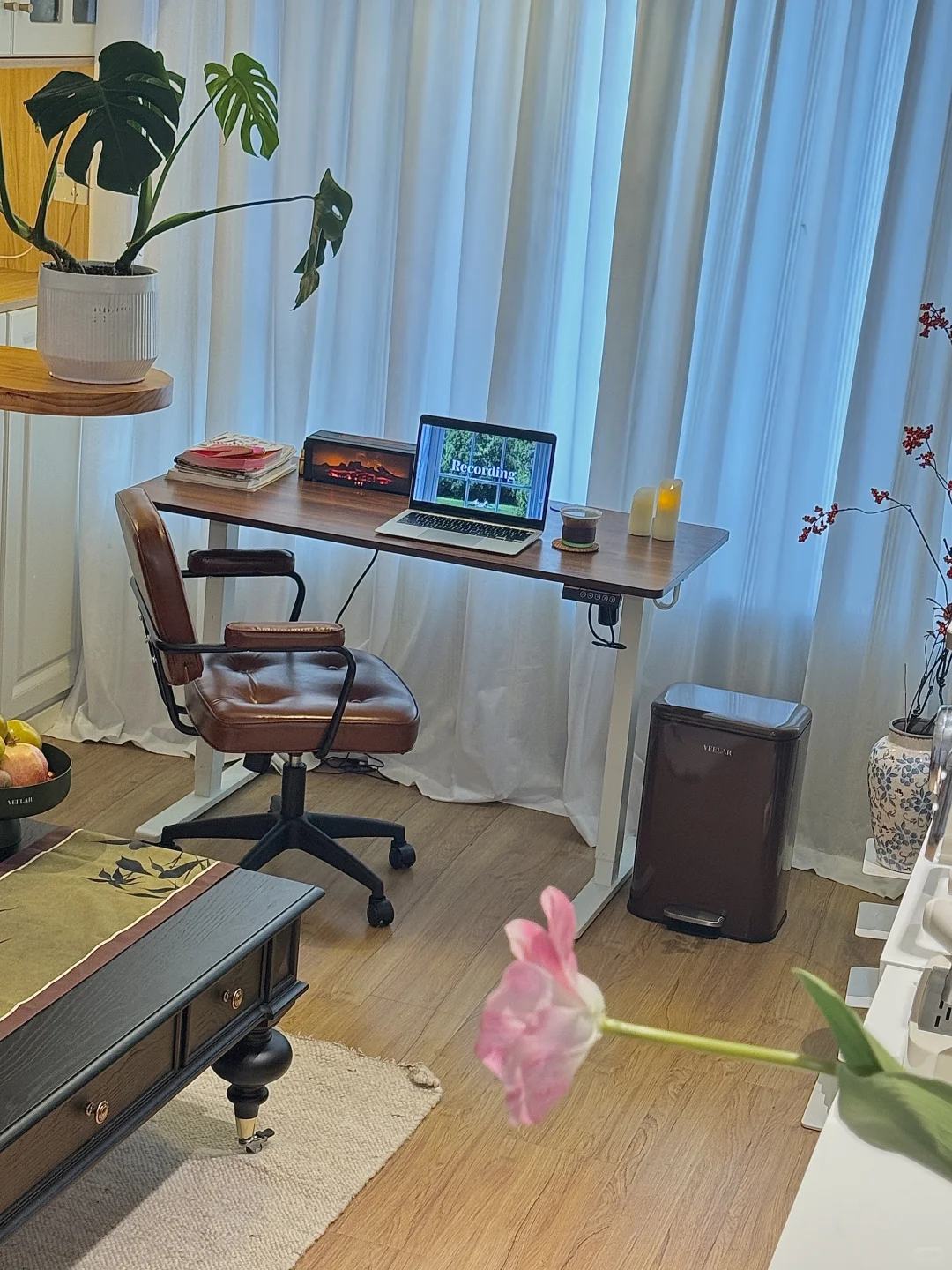 2年亏了30万｜还好我还有个家🏠