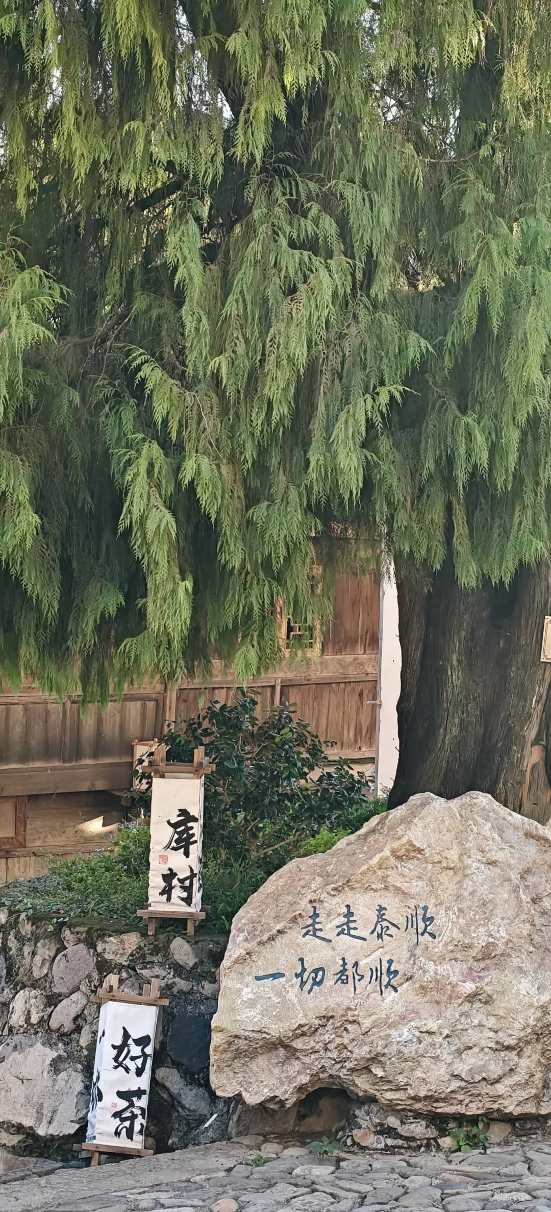 长沙开福求租一室一厅
