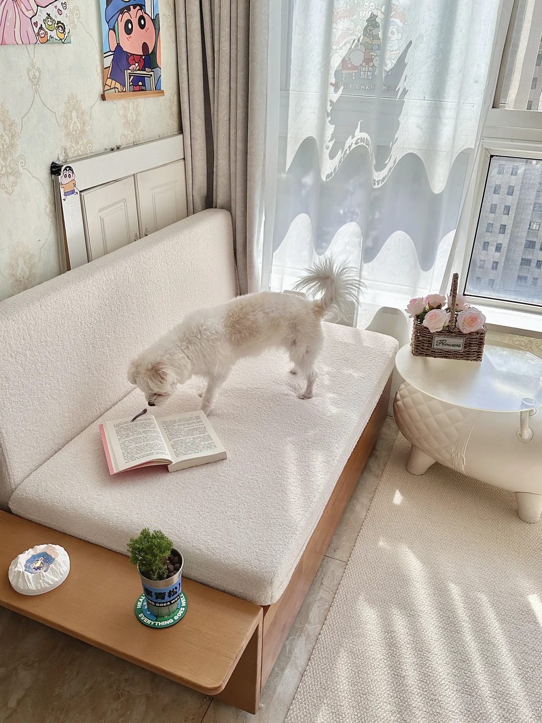 26岁，我花6万在河南给自己买了套房🏠