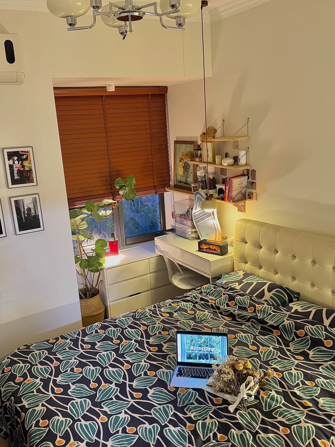 2年亏了30万｜还好我还有个家🏠