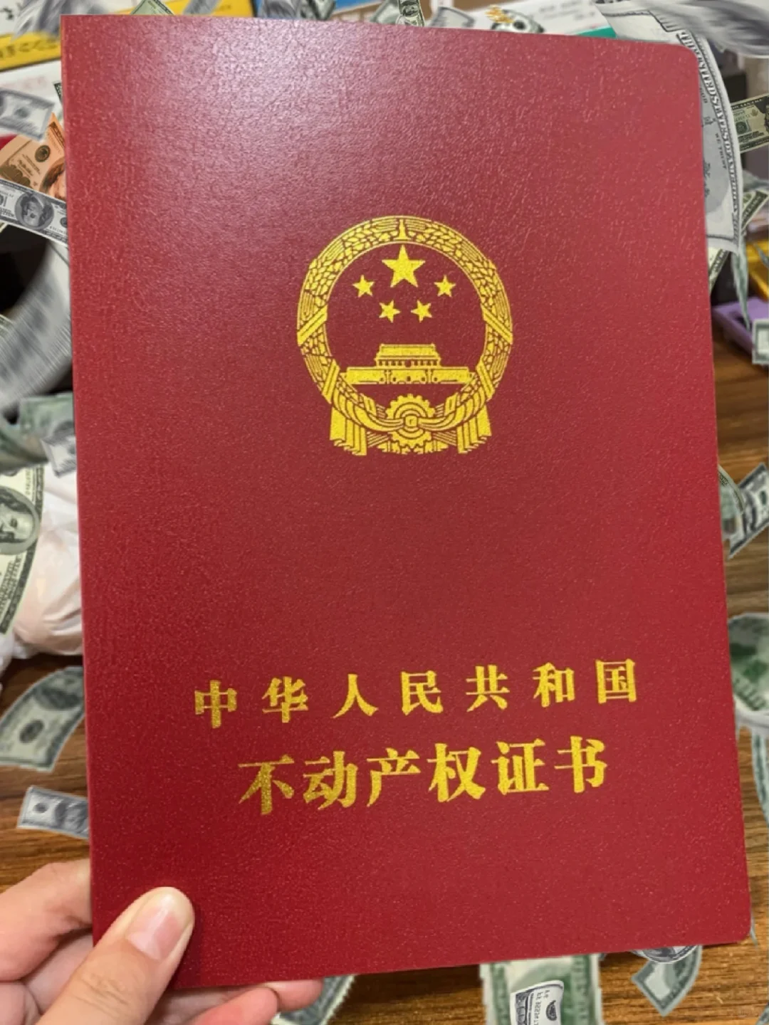 线下办理房产证，一小时拿捏💙
