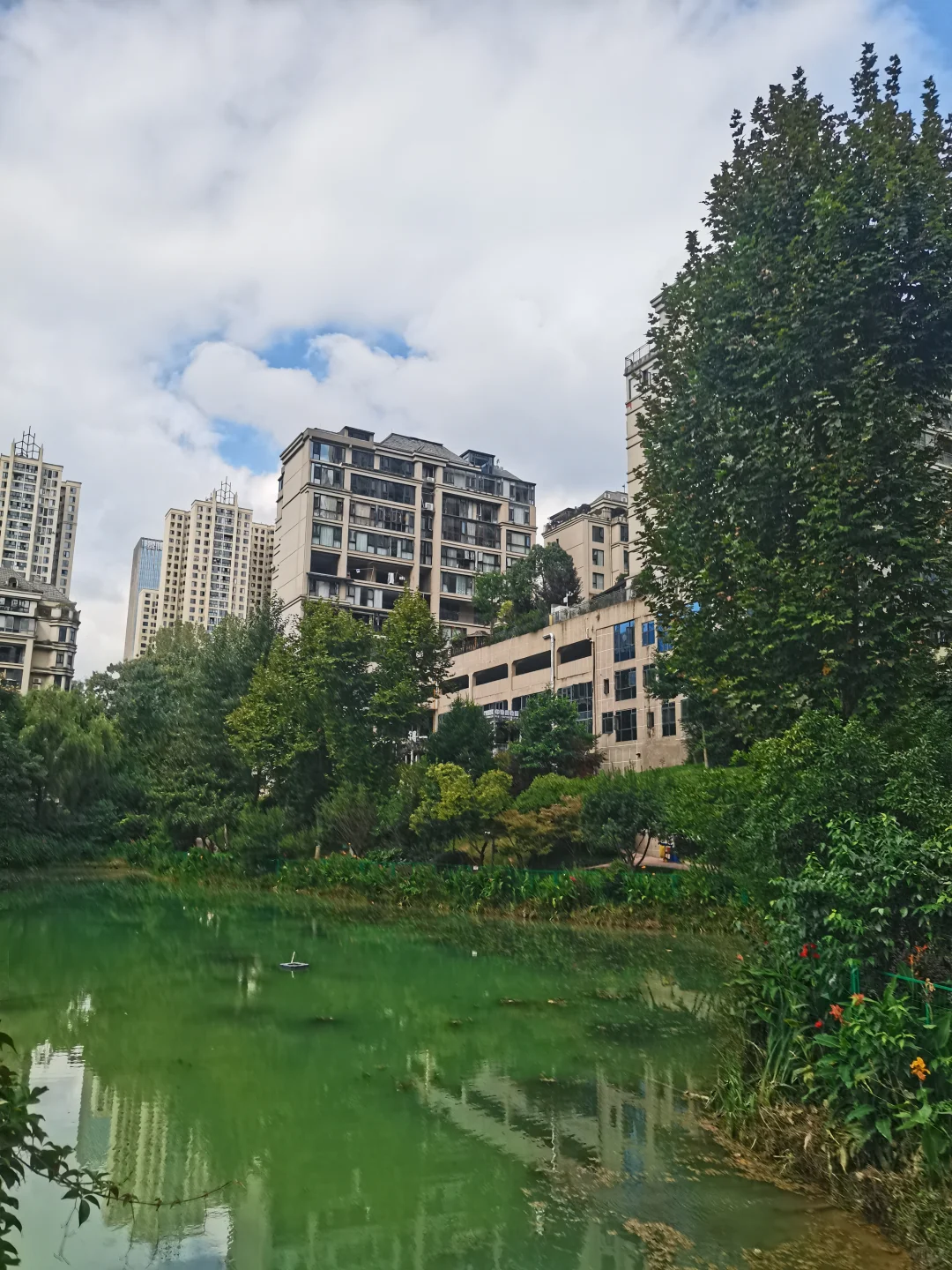 别人家小区系列：住这个小区也太幸福了吧！