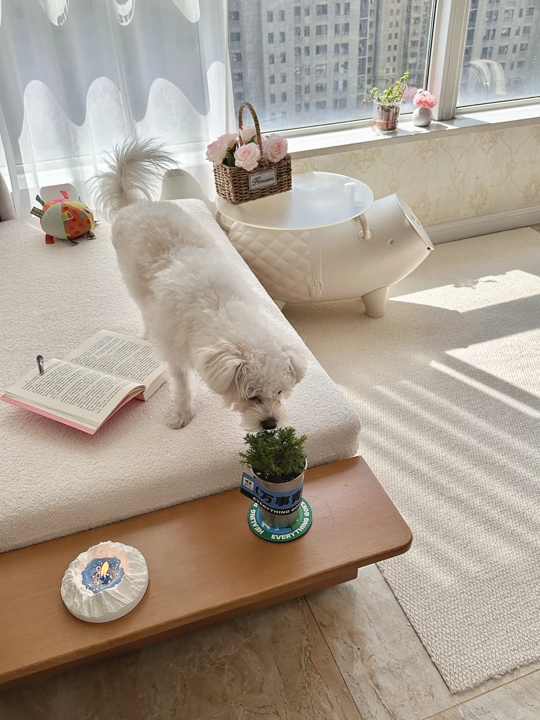 26岁，我花6万在河南给自己买了套房🏠