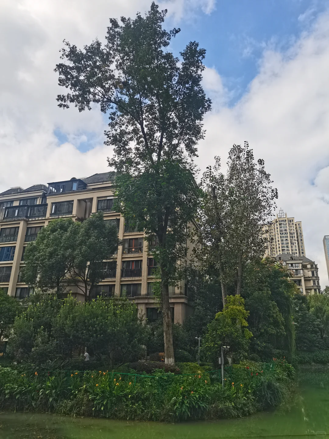 别人家小区系列：住这个小区也太幸福了吧！