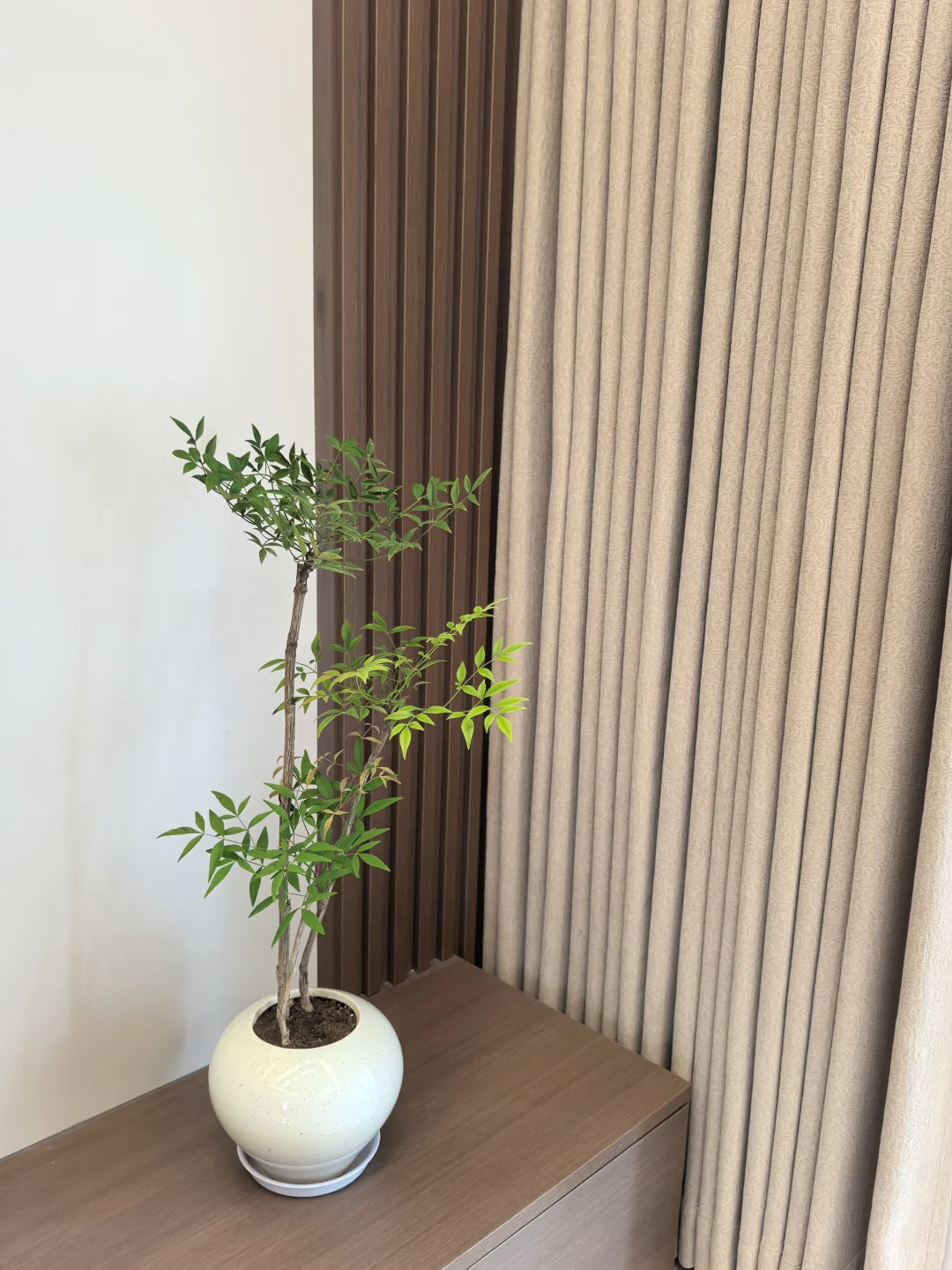 棕色小家｜超治愈