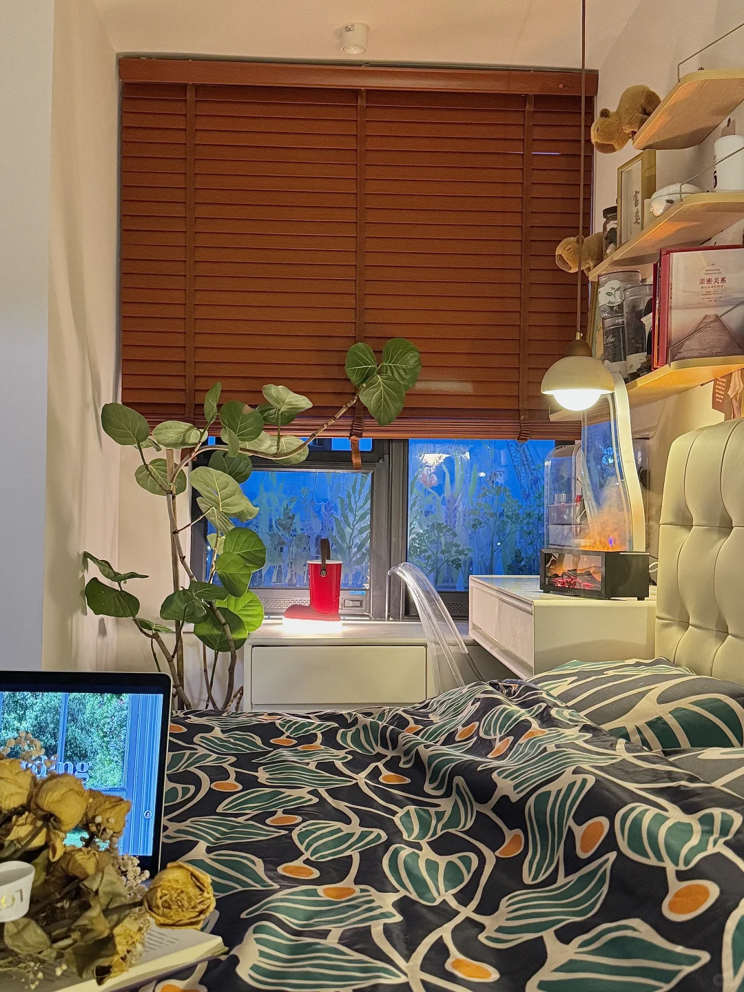 2年亏了30万｜还好我还有个家🏠