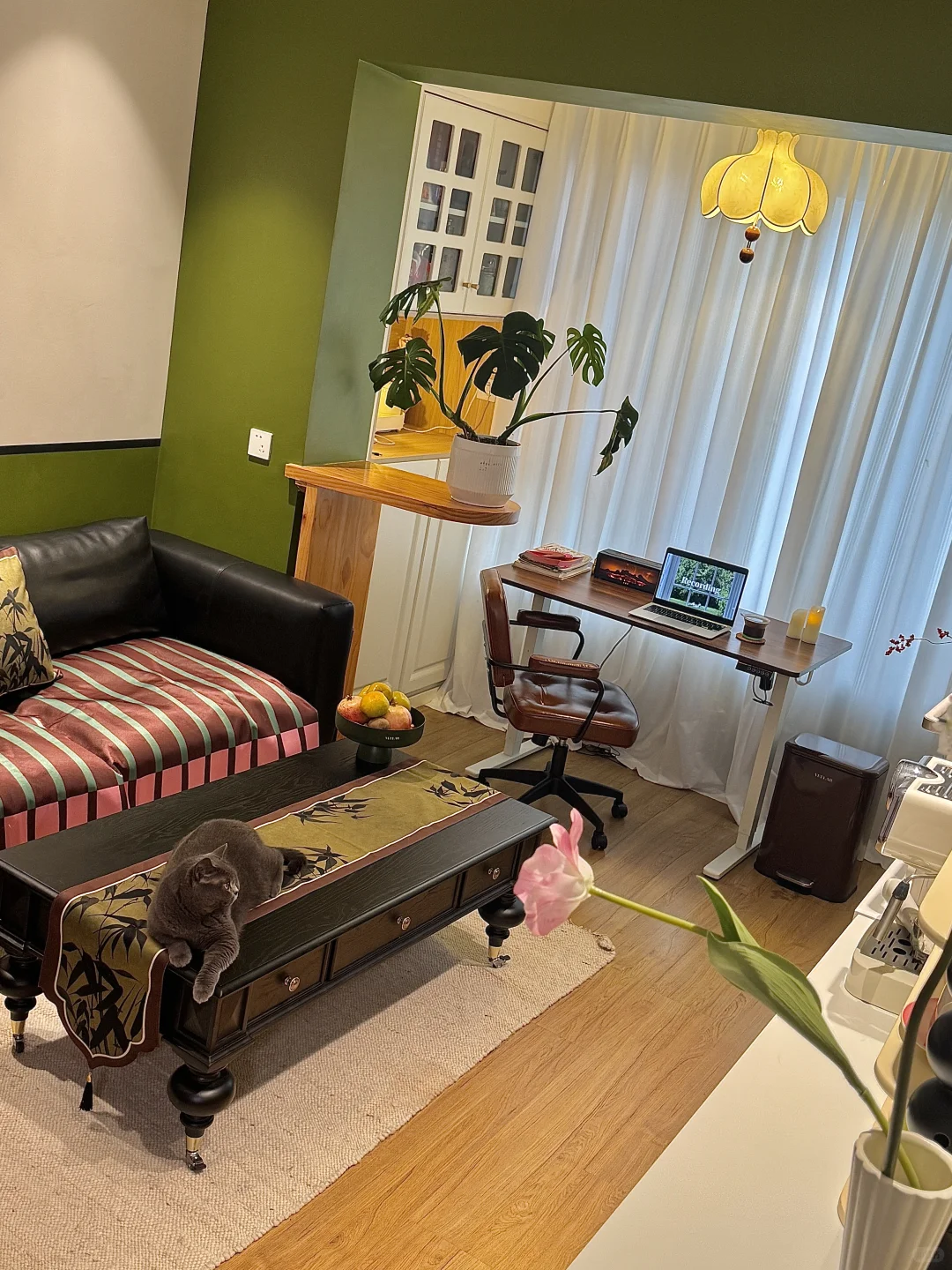 2年亏了30万｜还好我还有个家🏠