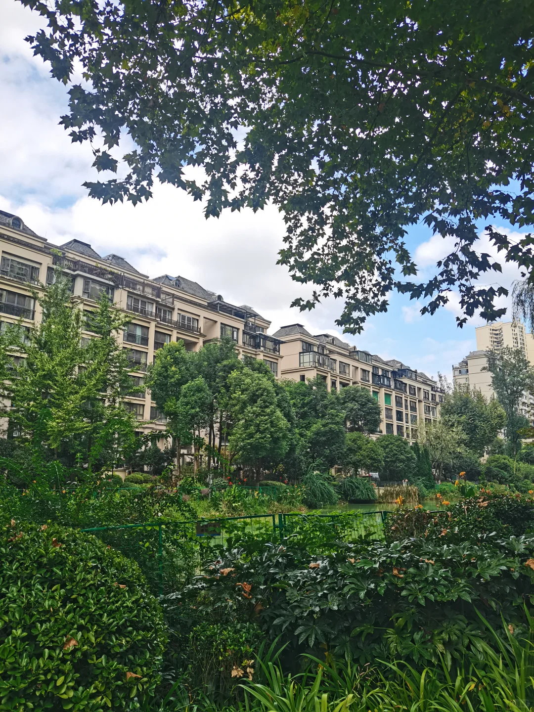 别人家小区系列：住这个小区也太幸福了吧！