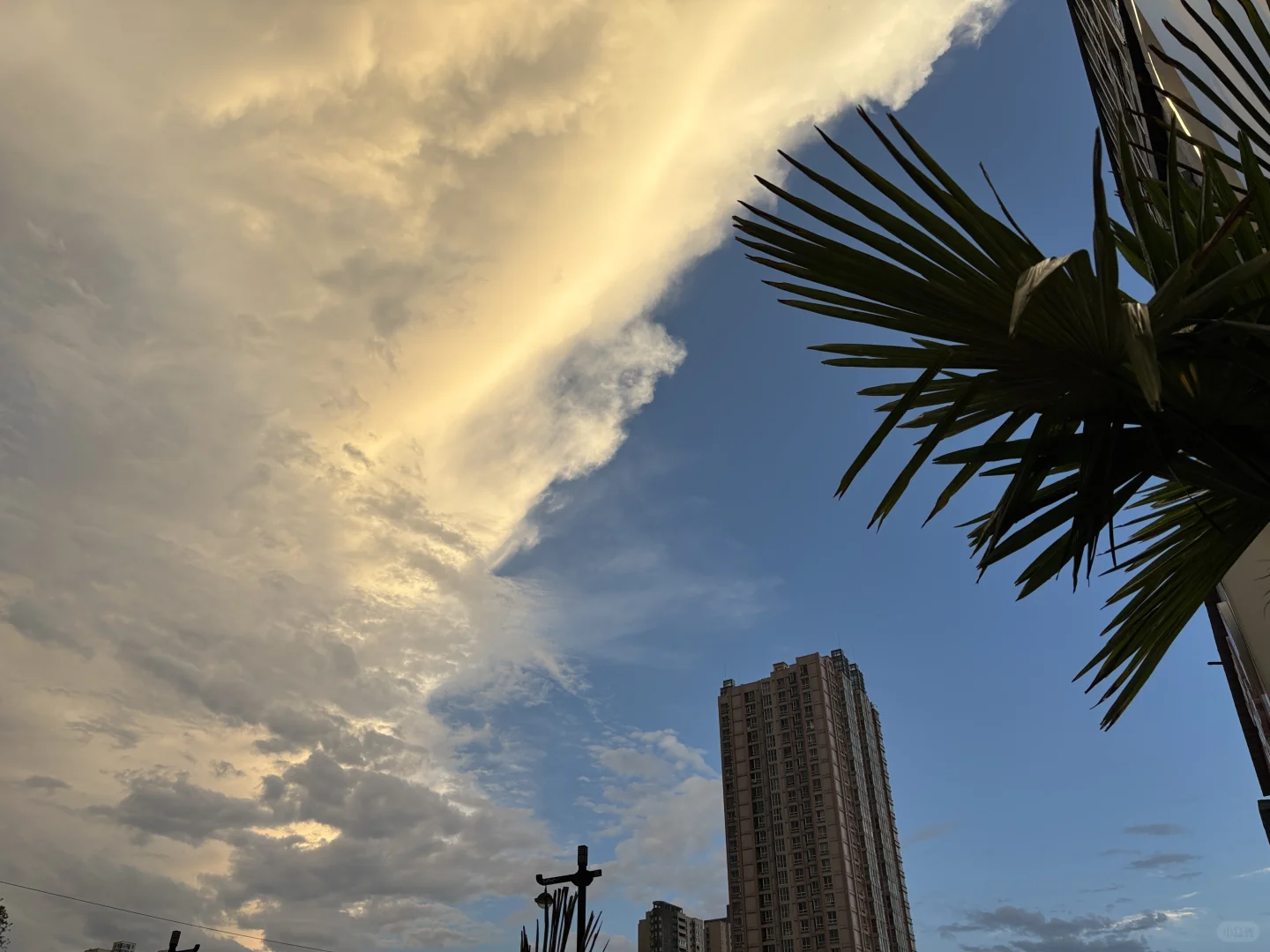 没有房产证咋办营业执照